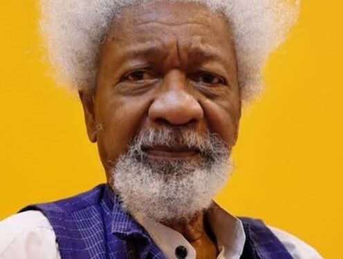 Decentralising Nigeria Will restore dignity to all — Soyinka