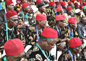 World Igbo Congress, AVID, warns against establishment of cattle ranch in Enugu