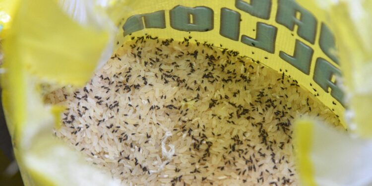 RISING PRICE: FCCPC raids Abuja super market, seize 97 bags of substandard rice