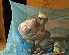WHO hails   malaria vaccine roll-out in Liberia, Benin, Sierra Leone