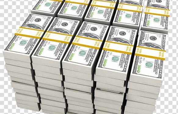 CBN releases fresh dollars into the system amid denial of foreign reserves depletion