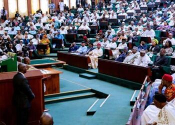 Reps Member makes fresh call for Parliamentary Democracy, says Presidential system has failed