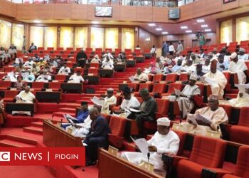 Herders/Farmers Conflicts: Senators divided as ranching Bill scales second reading