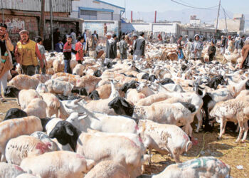 Hajj: Kaduna to refund $50 to pilgrims