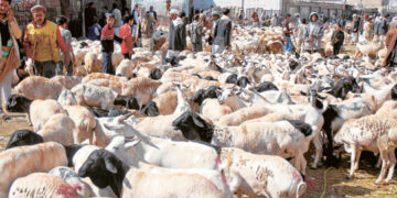 Hajj: Kaduna to refund $50 to pilgrims