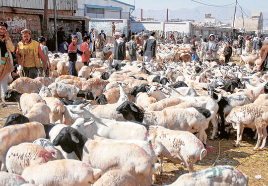 Hajj: Kaduna to refund $50 to pilgrims