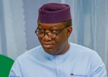 Tinubu hastily announced fuel subsidy removal – Fayemi