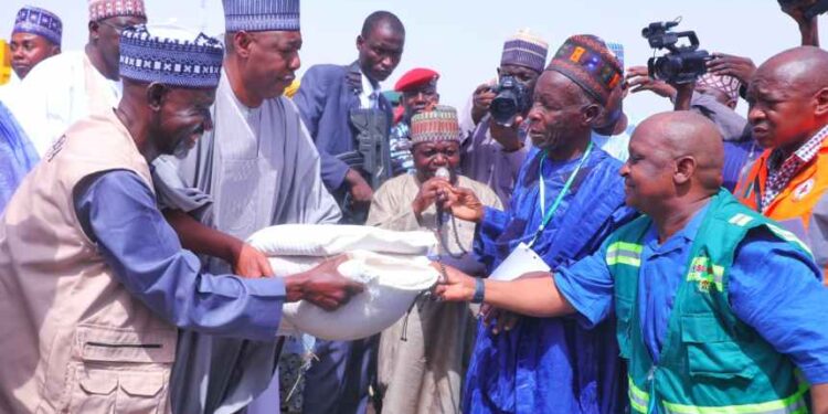 Borno gov resettles IDPs in 9 LGAs, disburses N954.7m