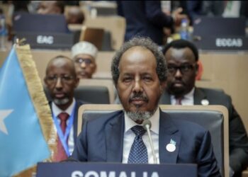 Somalia elected to UN Security Council after 50 years