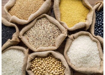 Soaring price of beans worries Lagosians, as malnutrition looms