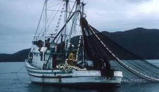 How high cost of operations is forcing Trawler owners to abandon Nigeria