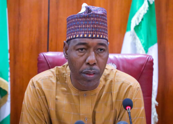 Zulum appoints DG of Borno mining agency