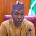 Zulum appoints DG of Borno mining agency
