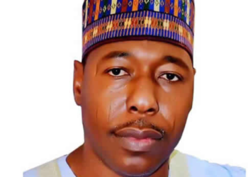 Zulum to resuscitate moribund tomato factory in Borno