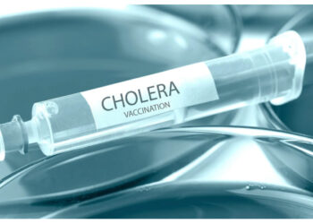Gavi, WHO, UNICEF to combat cholera outbreak as vaccines arrive Nigeria