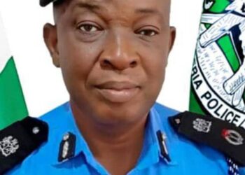 Benue: Police arraign 2 brothers for theft, illegal possession of firearms