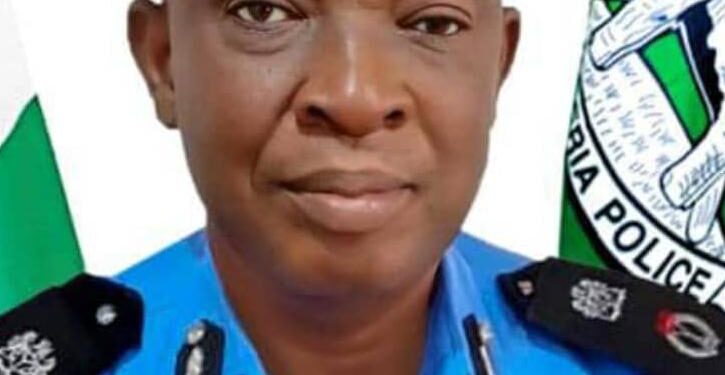 Benue: Police arraign 2 brothers for theft, illegal possession of firearms