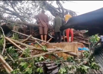 Trees kill four in Edo market during heavy rain