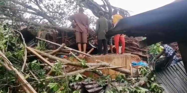 Trees kill four in Edo market during heavy rain