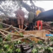 Trees kill four in Edo market during heavy rain