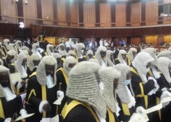 SEE LIST: 98 lawyers shortlisted for SAN title