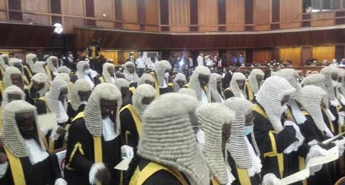 SEE LIST: 98 lawyers shortlisted for SAN title