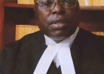 OPINION BY Babafemi Ojudu |The Lasting Bond: Remembering Debo Adeleke