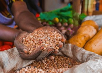 Yobe govt enforces weighing and measure accros markets