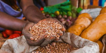 Yobe govt enforces weighing and measure accros markets