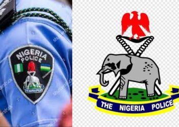 Police salute Enugu residents for shunning nationwide  protests