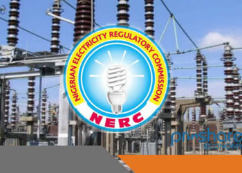 NERC handover electricity regulatory functions to Edo