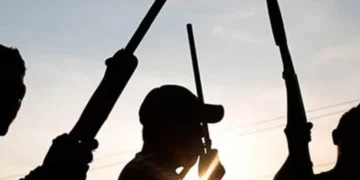 Gunmen Kill 2 security personnel in Imo, set LG headquarters ablaze