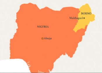 Ex-NUJ president begs media to lead efforts in rebuilding flooded Maiduguri