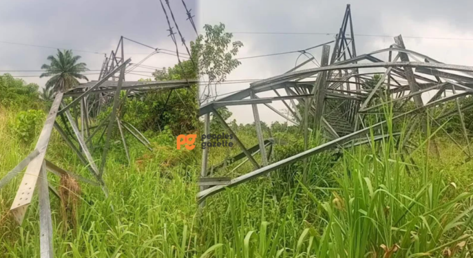 Vandals destroy Gombe-Damaturu-Maiduguri 330KV transmission line