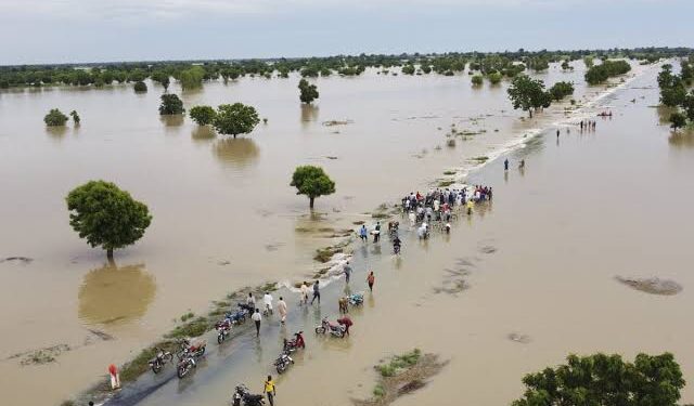 Flood: Maiduguri residents gears up as Alau dam overflows bank