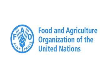 Over 2.8 billion people can’t afford healthy diets- UN’s food and agriculture organisation