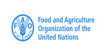 Over 2.8 billion people can’t afford healthy diets- UN’s food and agriculture organisation