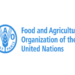 Over 2.8 billion people can’t afford healthy diets- UN’s food and agriculture organisation