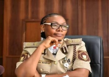 Nigerian Immigration addresses visa-on-arrival application challenges