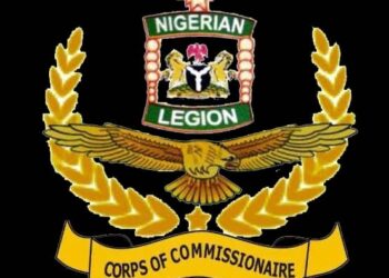 Nigerian Legion debunk payment rumours, warns veterans against protest