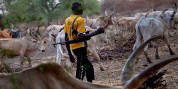 Herdsmen to Tinubu: We don’t want state police, it is risky, expensive