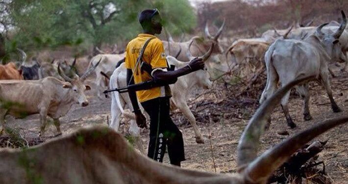 Herdsmen to Tinubu: We don’t want state police, it is risky, expensive