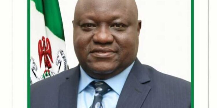 Tinubu reappoints Duna as DG NBRRI