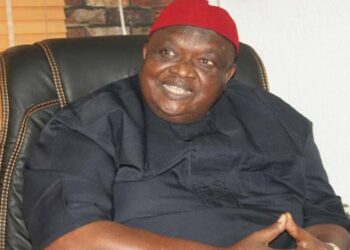 Ohanaeze gets new leader to replace late Iwuanyanwu