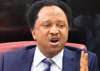 You were silent when Buhari filled almost all the positions with people from the north, Shehu Sani replies Tinubu’s critics on appointments