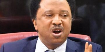 You were silent when Buhari filled almost all the positions with people from the north, Shehu Sani replies Tinubu’s critics on appointments