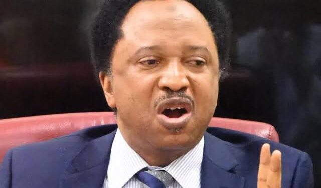 You were silent when Buhari filled almost all the positions with people from the north, Shehu Sani replies Tinubu’s critics on appointments