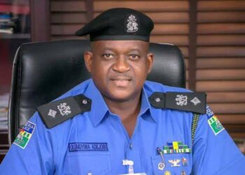 Rights violation: US, UK, Canada,European Union petitioned to impose visa ban on FPRO Adejobi