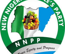 NNPP pulls out of Katsina local government elections