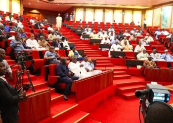 Senate approves restoration of Aniocha North II State Constituency, Delta